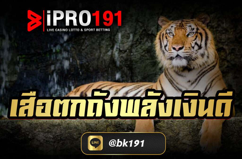 เสือตกถังพลังเงินดี